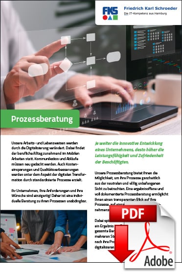 GoDigital Prozessberatung PDF
